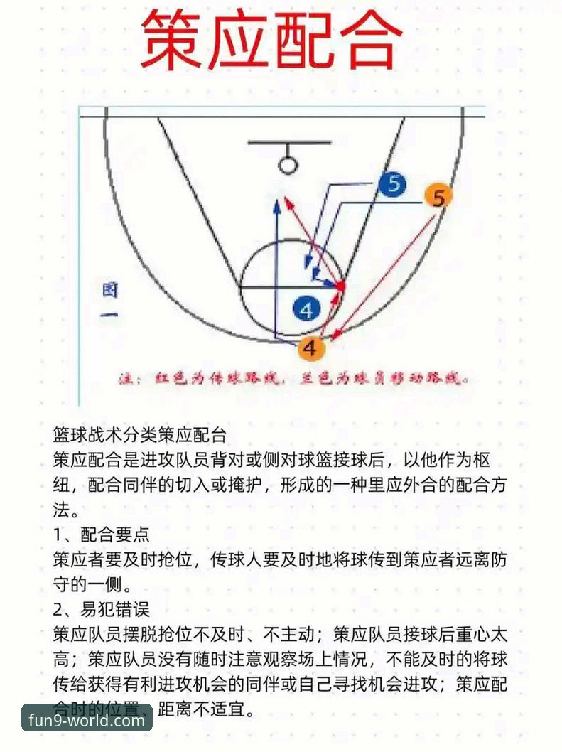 实战复盘：中国女篮战术调整与关键球员表现深度解析教程